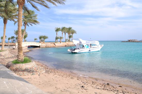 "Witaj w Raju Dlaczego Polska Jest Zakochana w Hurghadzie i Marsa Alam"